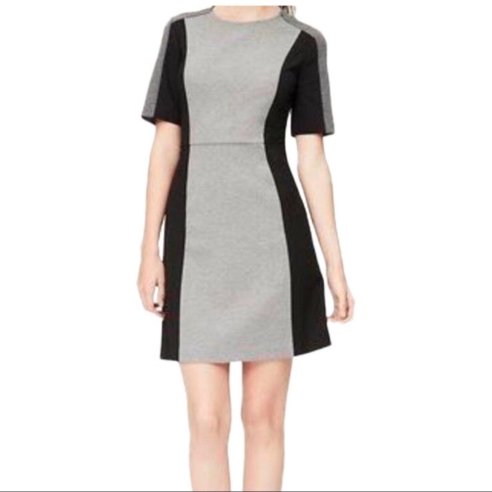 Ann Taylor LOFT Black/Grey Panel Dress, 6P